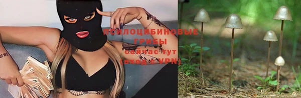 ешки Вязники