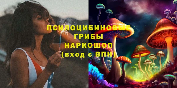 а пвп мука Горняк
