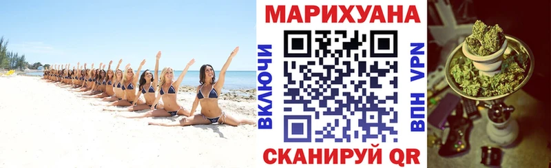 omg онион  где найти   Бердск  Бошки марихуана индика 